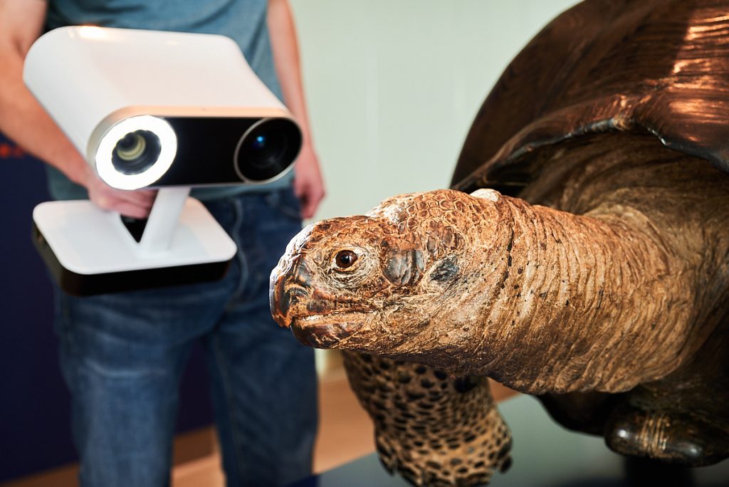 Foto von einer Schildkröte, die gescannt wird, im Überseemuseum in Bremen.
