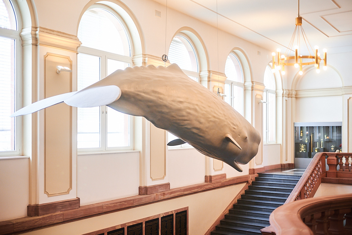 Aufnahme eines Wahlmodells im Treppenhaus des Senckenbergmuseums in Frankfurt.